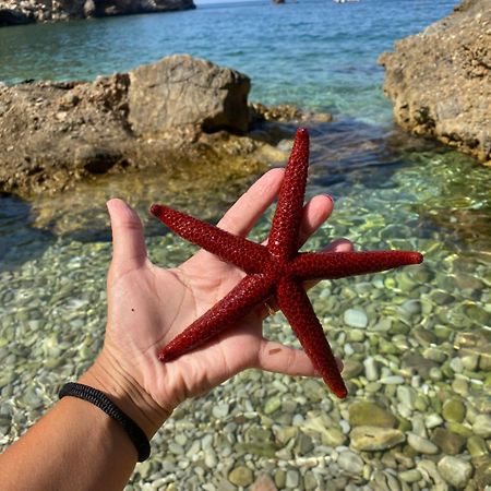 Appartamento Barone Castellammare del Golfo Exteriér fotografie