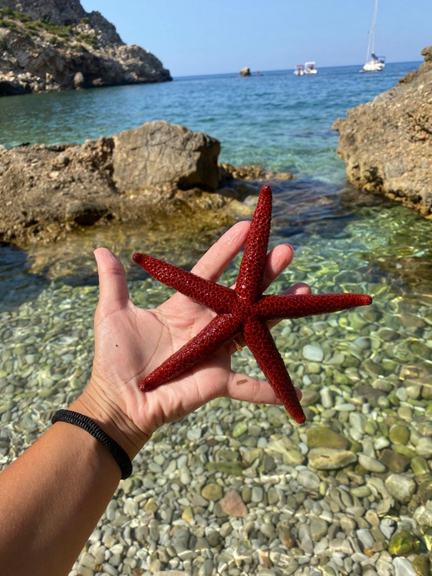 Appartamento Barone Castellammare del Golfo Exteriér fotografie